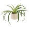 Northlight Artificial Spider Plant in Beige Ceramic Pot - 20"